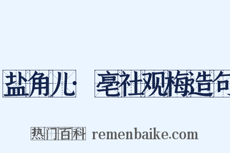 盐角儿·亳社观梅造句是什么意思的图片